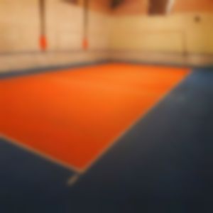 سالن والیبال ویلاشهر مشهد