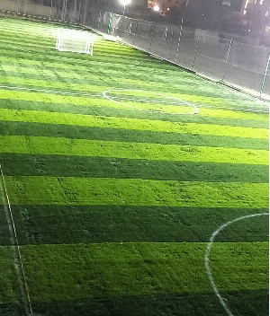 چمن مصنوعی شماره 1 نیکان (مستر)