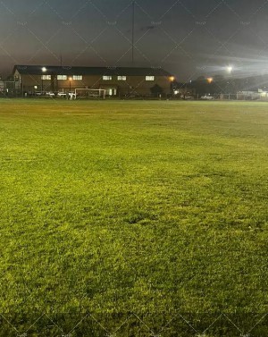چمن طبیعی آزادی