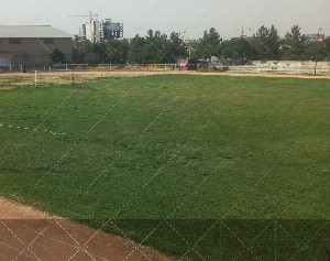 چمن طبیعی آزادی