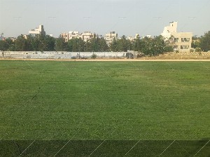 چمن طبیعی آزادی