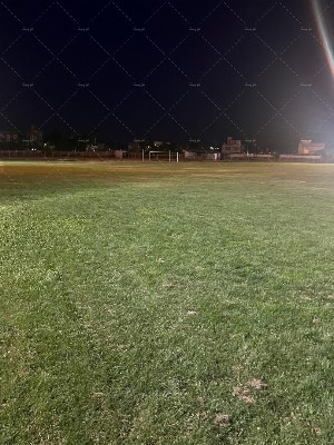چمن طبیعی آزادی