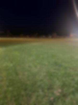 چمن بزرگ طبیعی آزادی