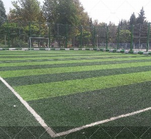 چمن مصنوعی شاهد