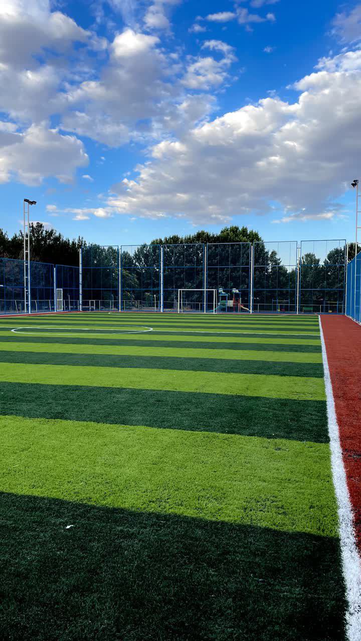 چمن مصنوعی هویزه مشهد