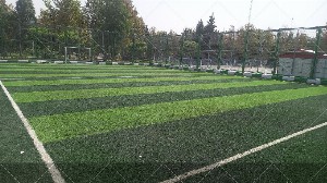 چمن مصنوعی شاهد