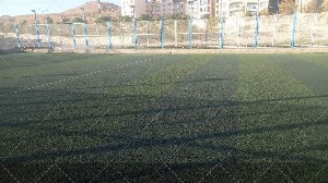 چمن مصنوعی وفا