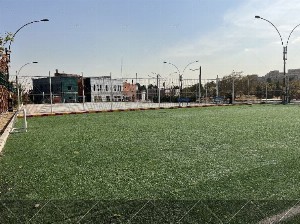 چمن بوستان ترافیک(کوچک)