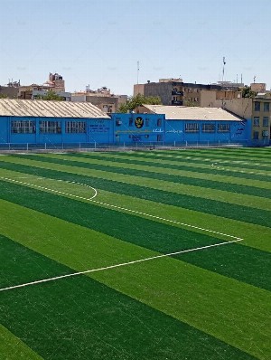 چمن مصنوعی تختی 2
