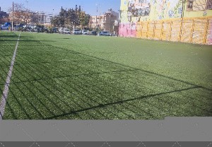 چمن مصنوعی نیایش