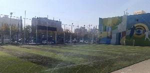 چمن مصنوعی رفاقت