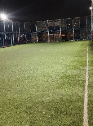 چمن مصنوعی ولایت مشهد