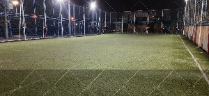 چمن مصنوعی ولایت