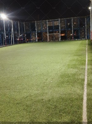 چمن مصنوعی ولایت