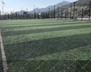 چمن مصنوعی کوه پارک