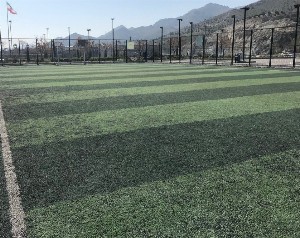چمن مصنوعی کوه پارک مشهد