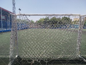 چمن شماره ۲ یاس