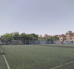 چمن مصنوعی شماره ۱ یاس مشهد