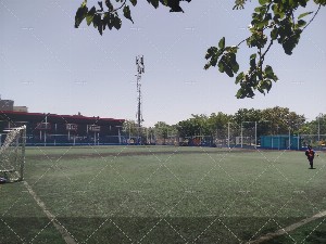 چمن شماره ۲ یاس
