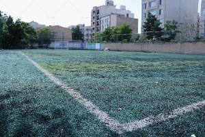 چمن مصنوعی پیشگامان(بزرگ)