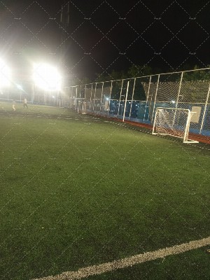 چمن شماره ۲ یاس