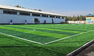 چمن مصنوعی شهید برونسی