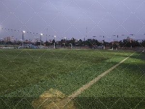 چمن مصنوعی حکمت