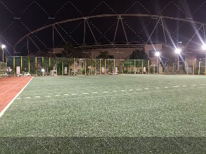 چمن آستان قدس (بزرگ)
